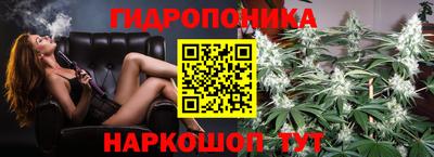 винт Гай